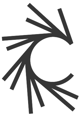Christ Church logo
